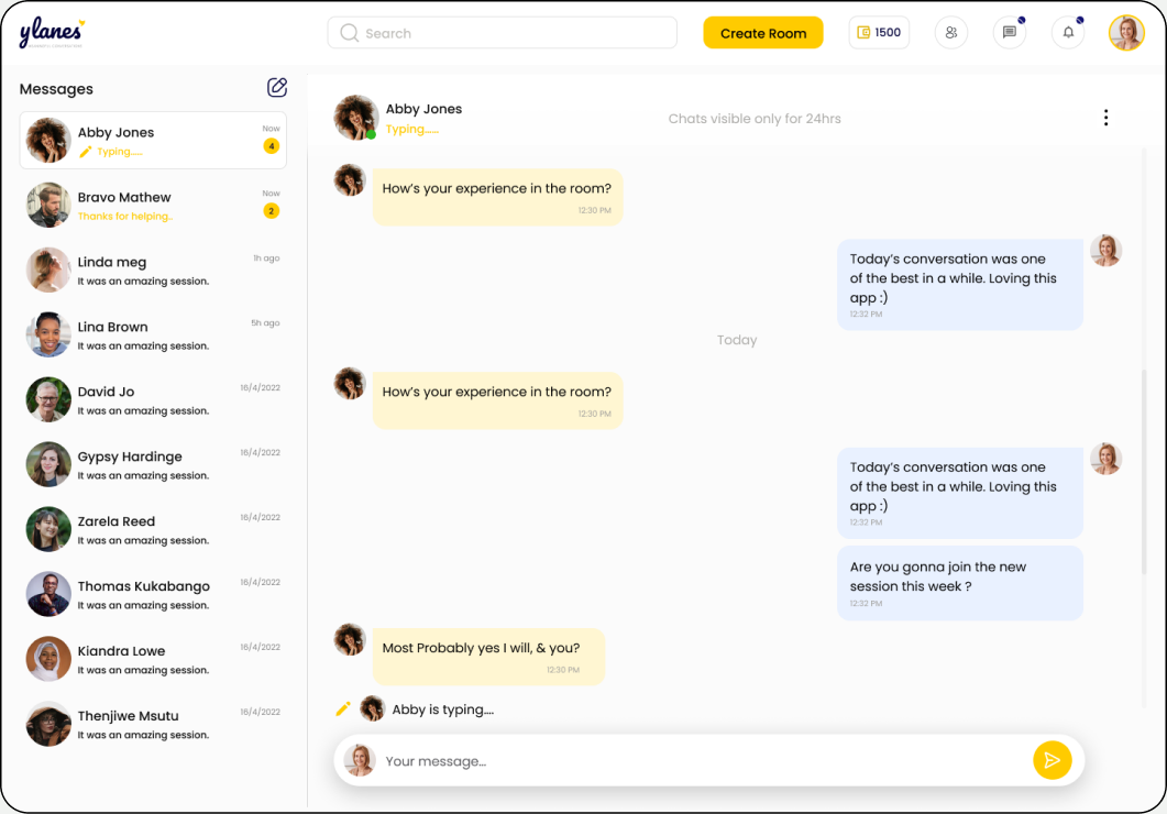 YLanes chat — “Chats visible only for 24hrs” framed at the top